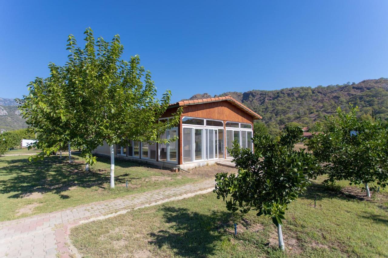 Ugur Pansiyon Bungalows Çıralı Esterno foto