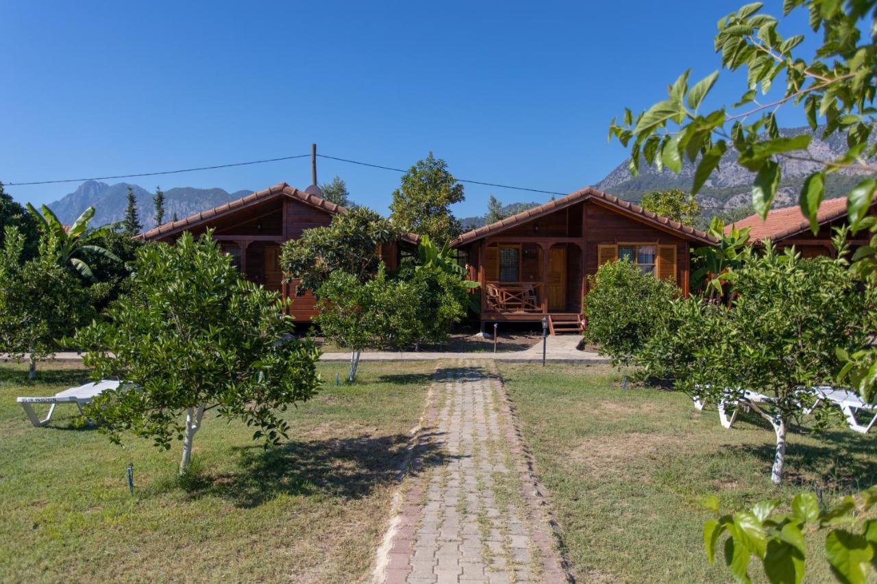 Ugur Pansiyon Bungalows Çıralı Esterno foto