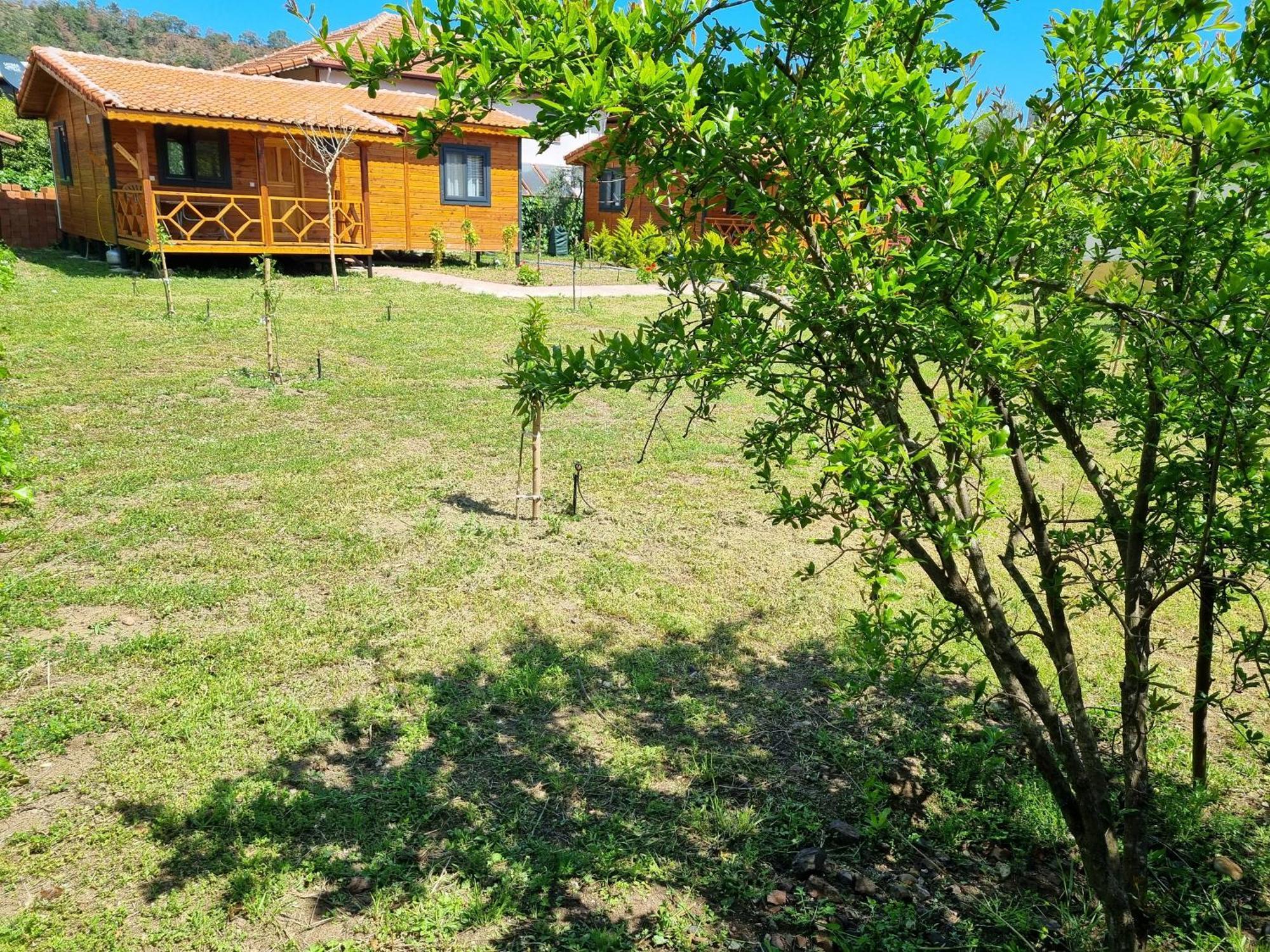 Ugur Pansiyon Bungalows Çıralı Esterno foto